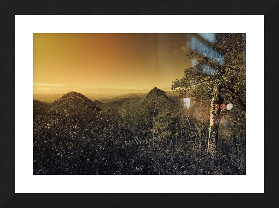 Smoky Mountains Forest Overlook Picture Frame print