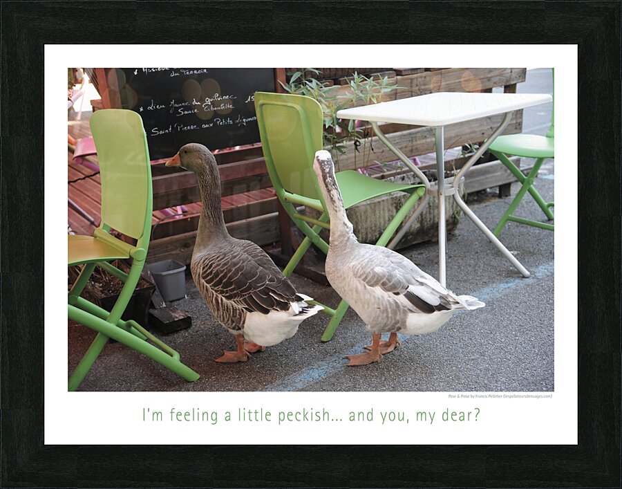 ON THE MENU Picture Frame print