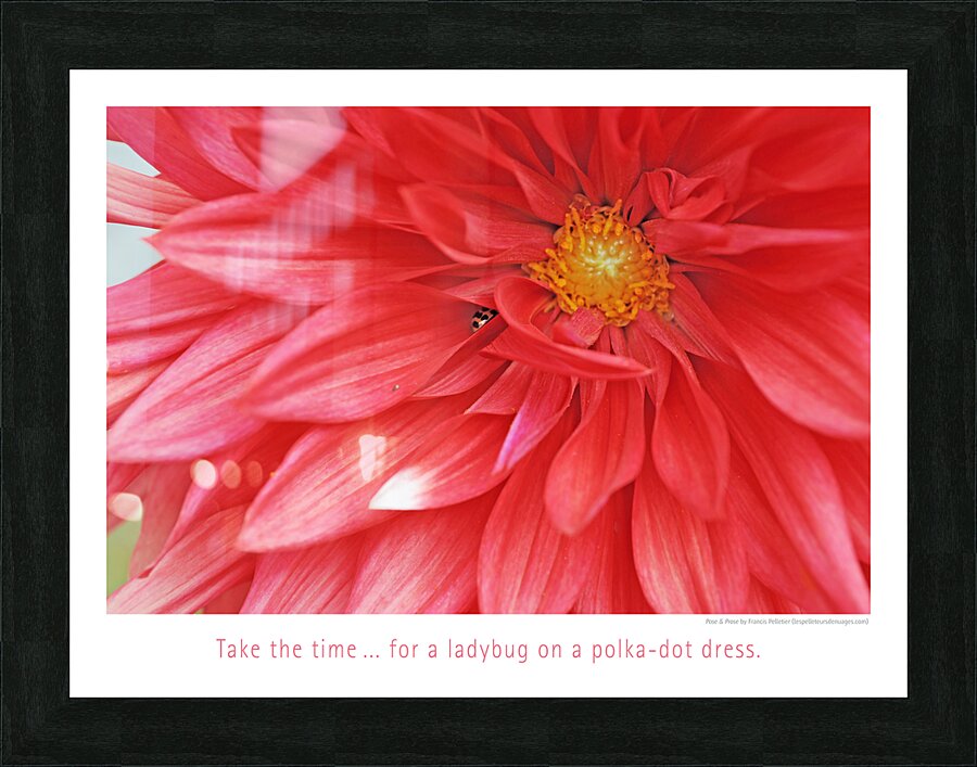 THE SIESTA Picture Frame print