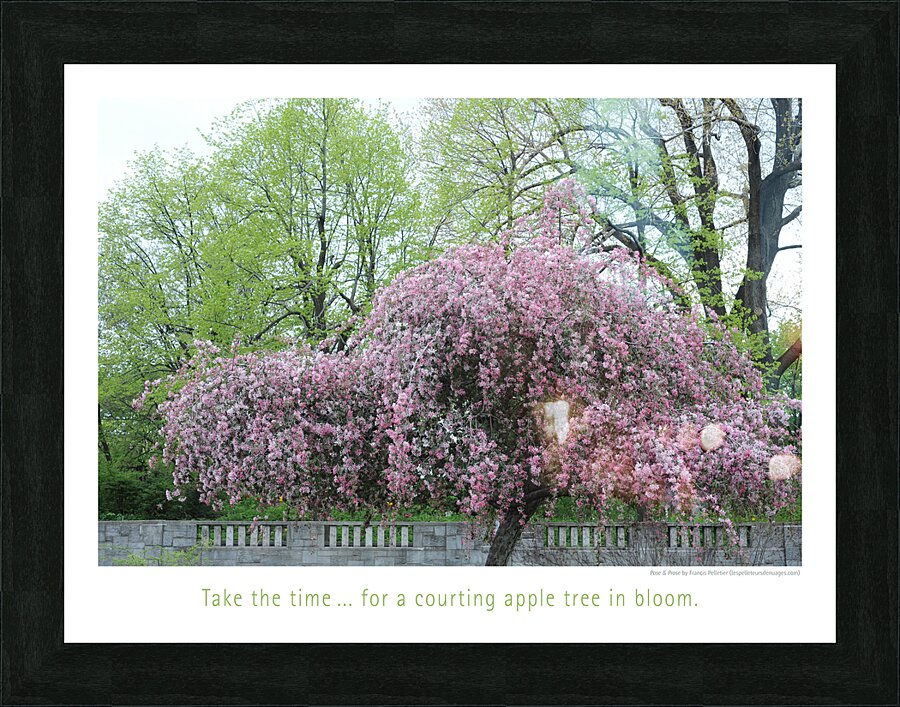 SEDUCTION LESSON Picture Frame print