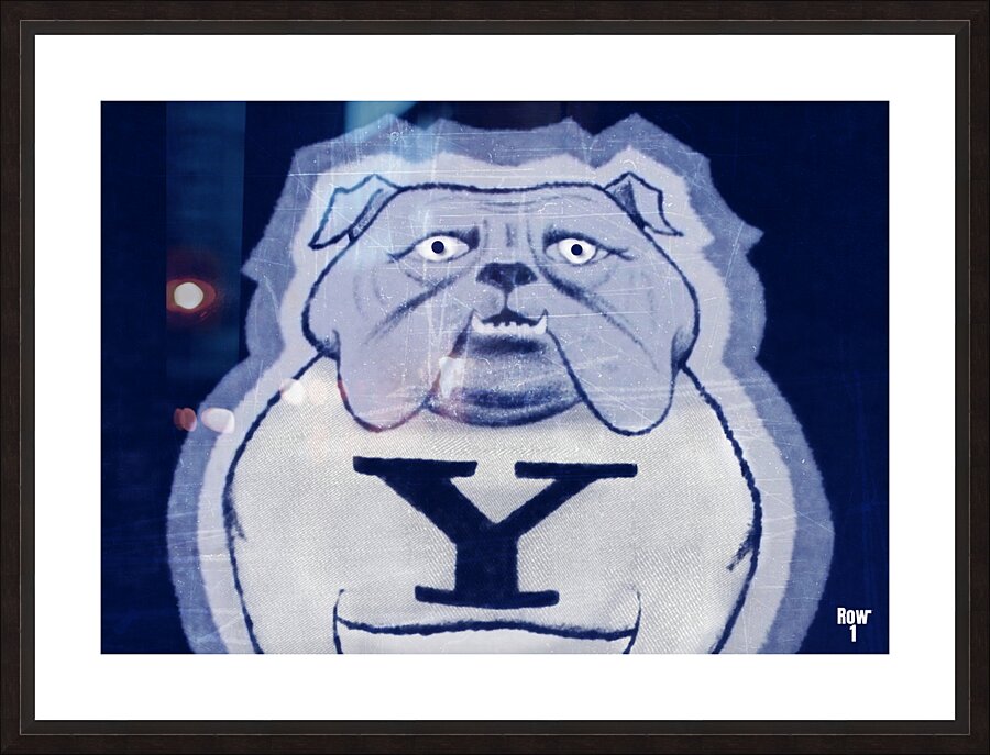 yale bulldog remix art  Picture Frame print