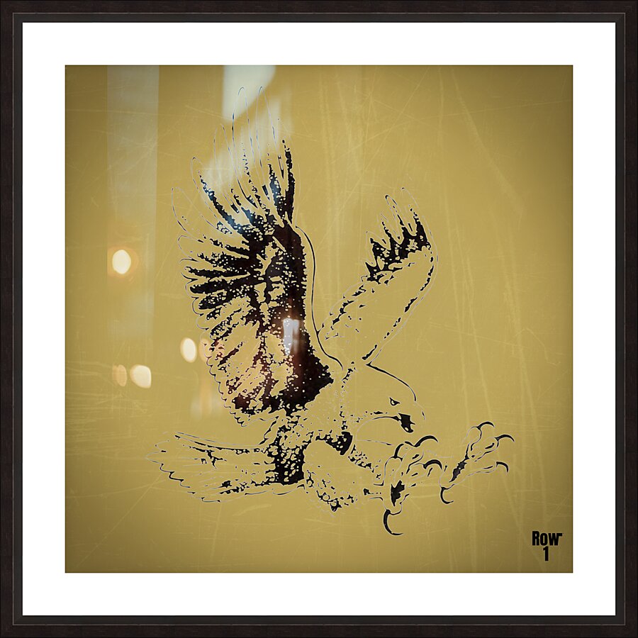 1980s Southern Miss Golden Eagle Picture Frame print