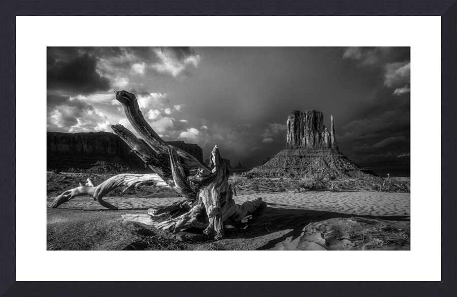 Navajo Nation Tribal Park Picture Frame print