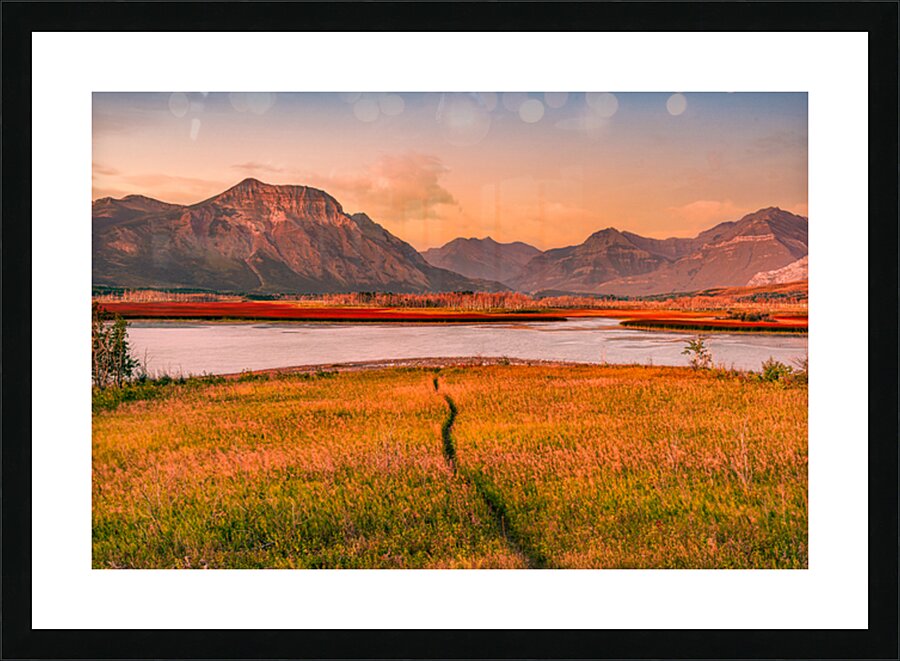 Waterton Lakes Trail Picture Frame print