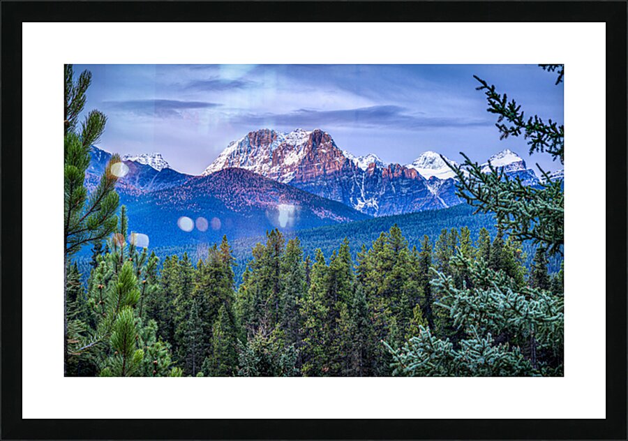  Fine Art print