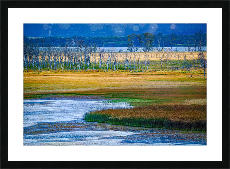  Fine Art print