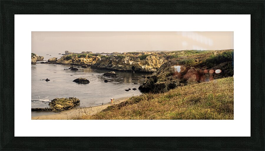 The Shell Collectors P Picture Frame print