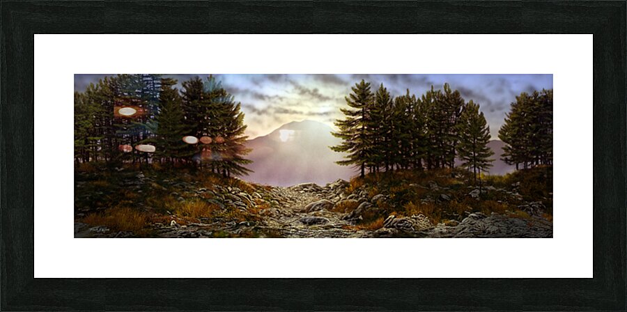 EVENING TRAIL P Picture Frame print