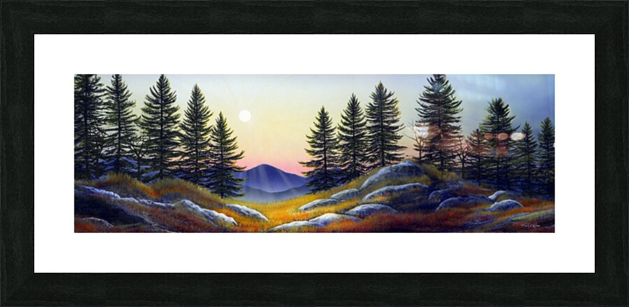 ALPINE MEADOW  SUNSET  P Picture Frame print