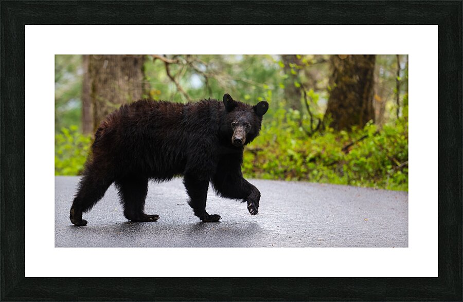 Look into my eyes Picture Frame print