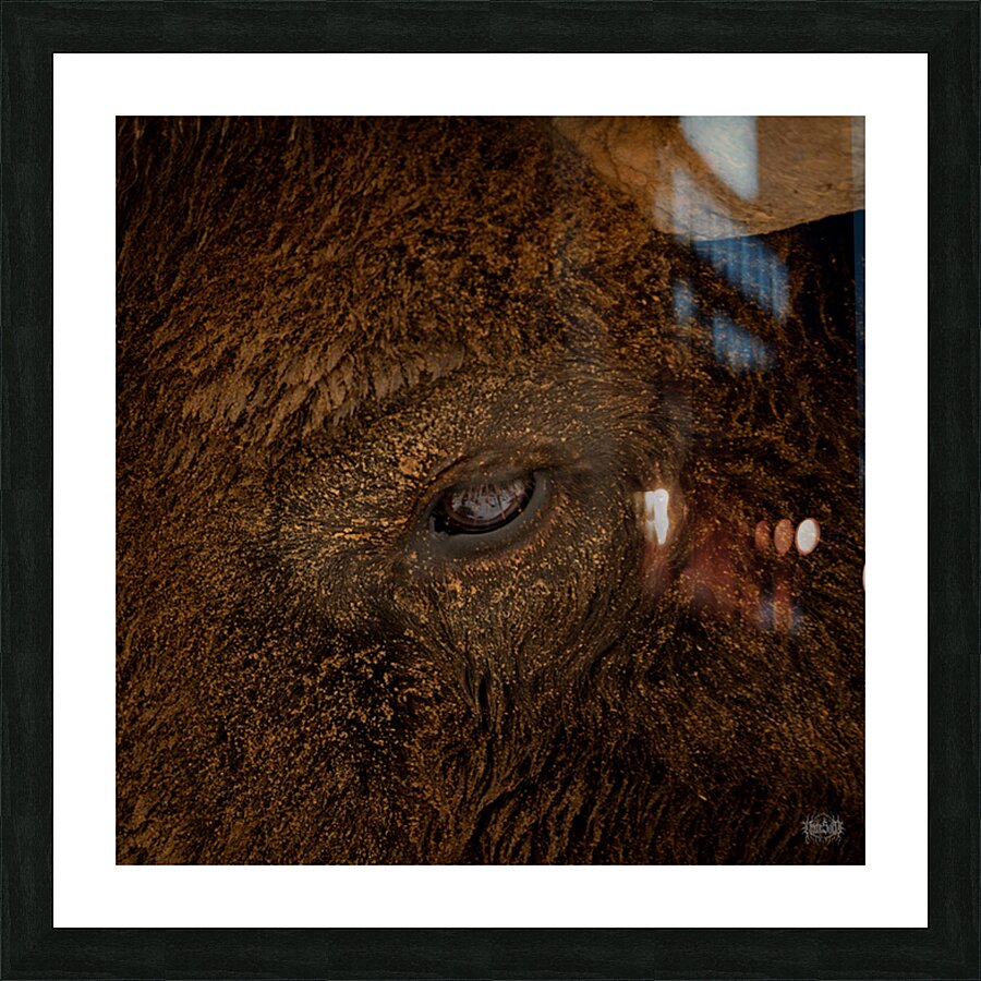 Eye of the Storm Picture Frame print