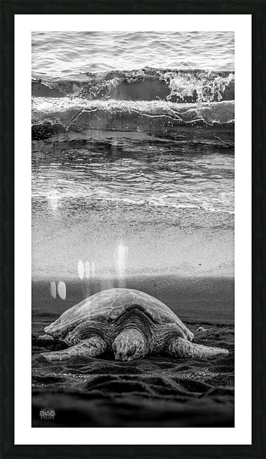 Sleepy Surf Picture Frame print