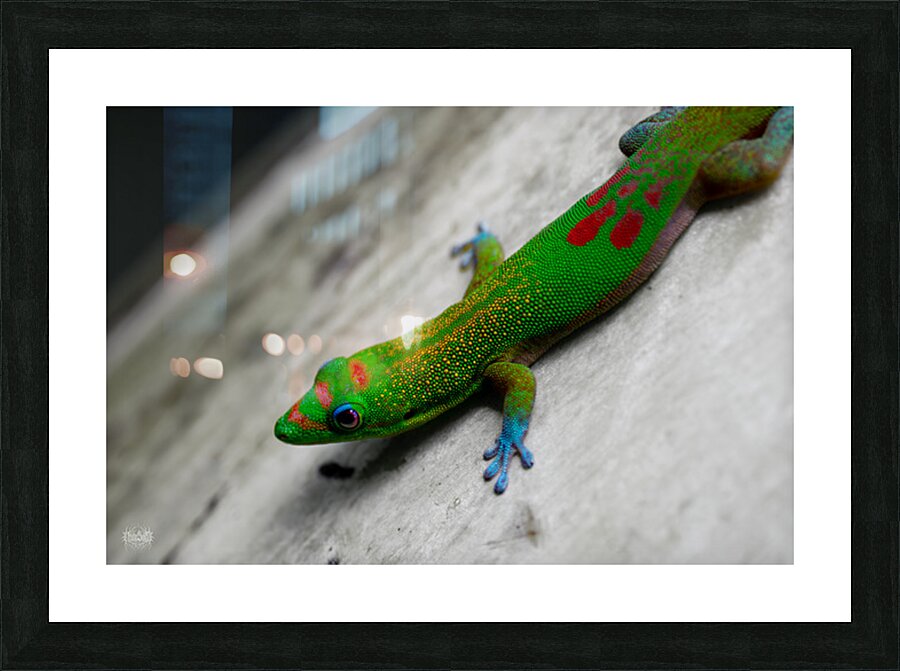 15 Percent or More Picture Frame print