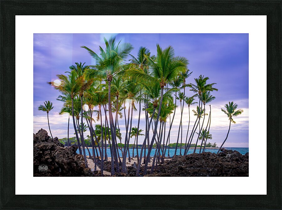 From the Ashes Picture Frame print