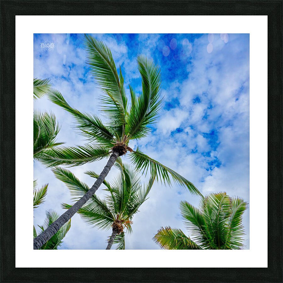 Palm Reader Picture Frame print