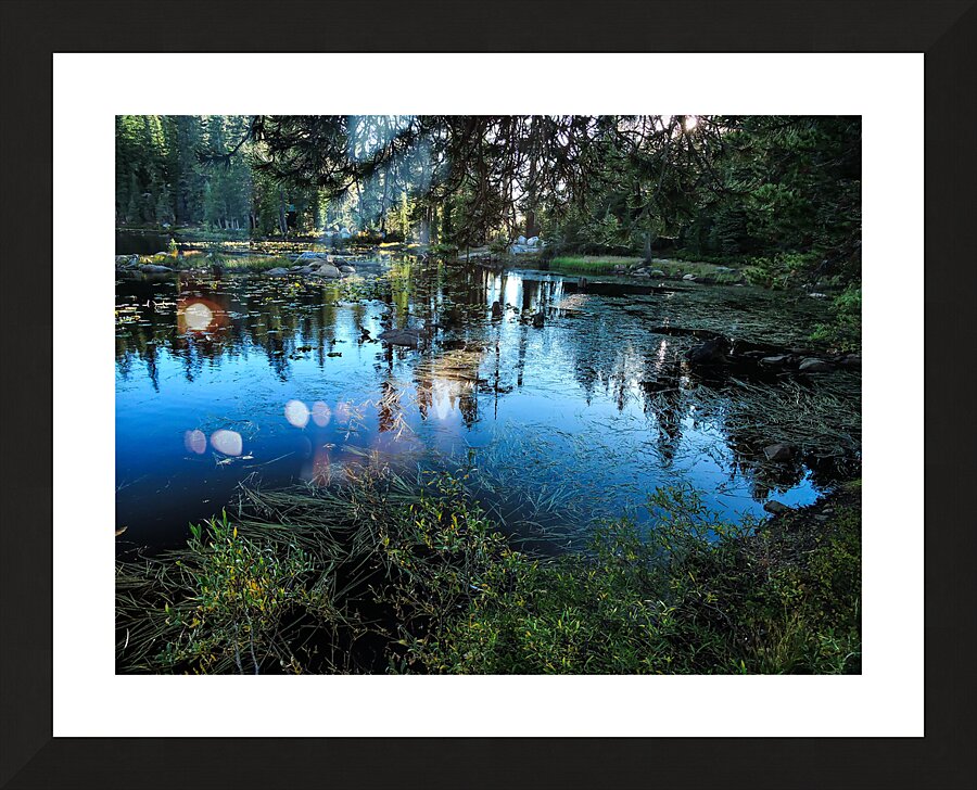 Sierra Mountain Pond Reflections  Picture Frame print