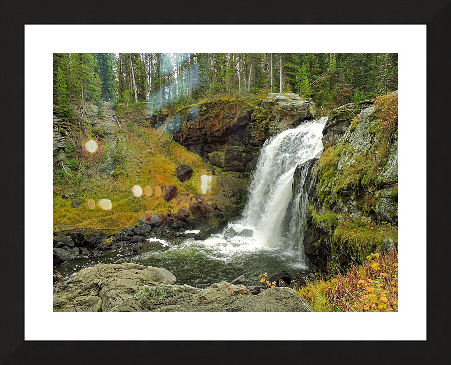 Yellowstone Moose Falls Picture Frame print