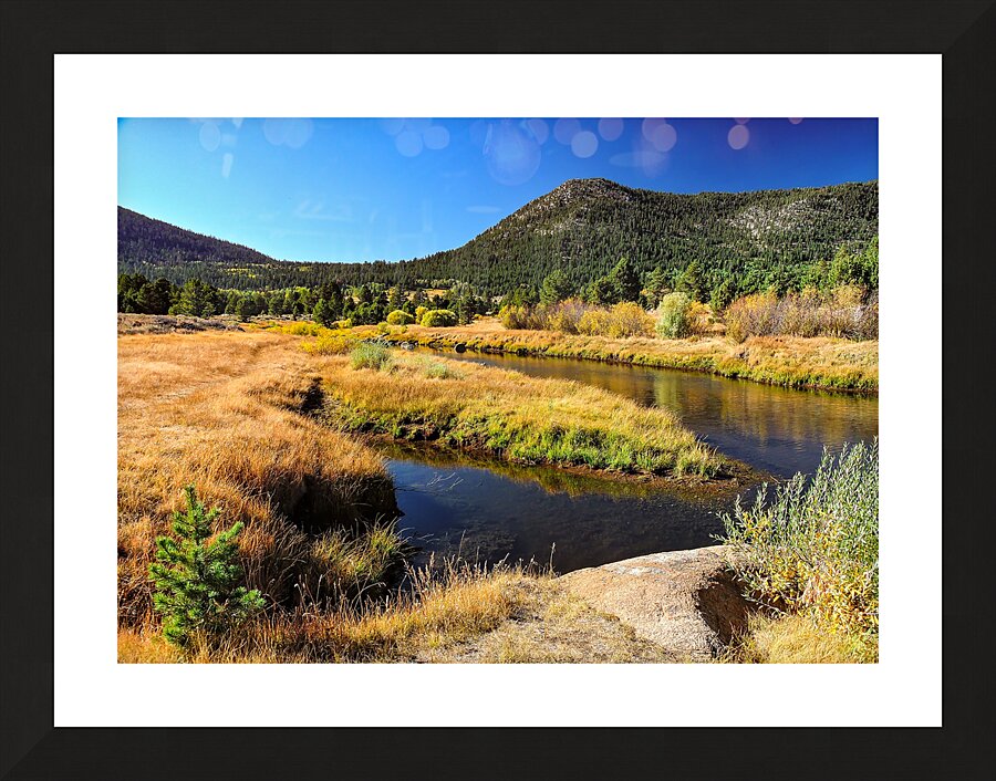 Lake Tahoe Desert Grass Marsh Picture Frame print
