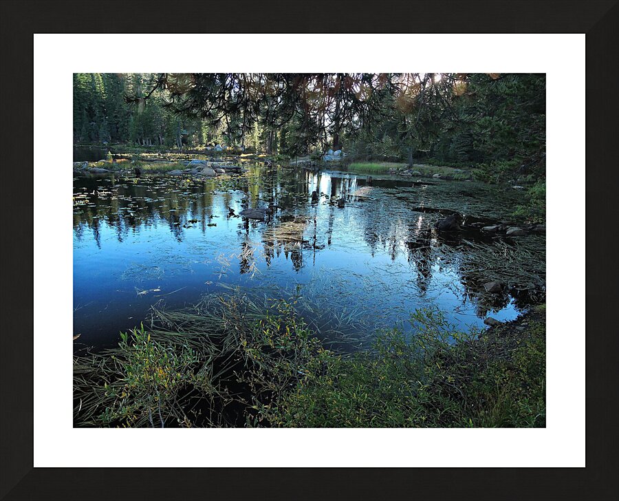 Sierra Mountain Pond Evening Reflections Picture Frame print