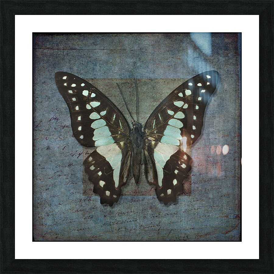  Fine Art print