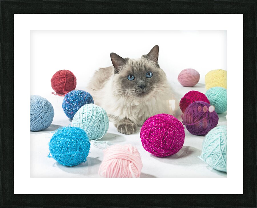  Fine Art print