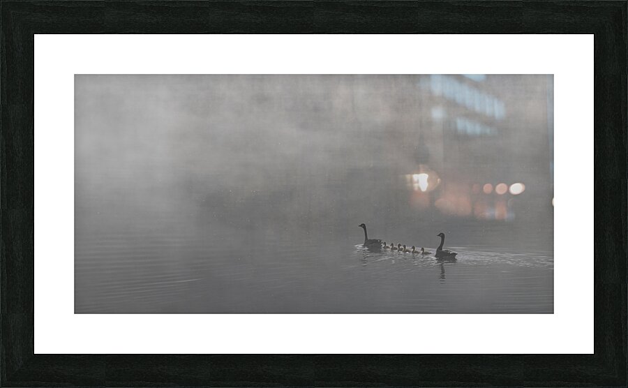 DN2 2932 Picture Frame print