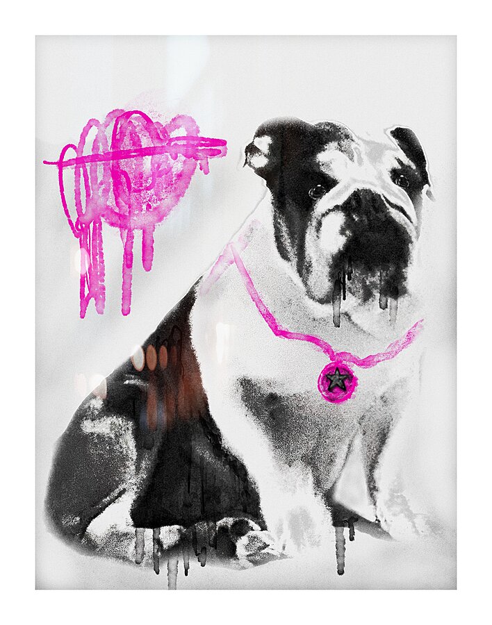 B U L L D O G Picture Frame print