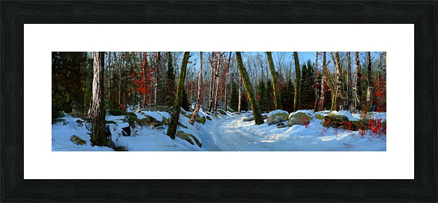 WINTER ROAD P Picture Frame print