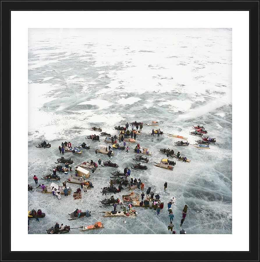 Arctic Picnic  Framed Print Print