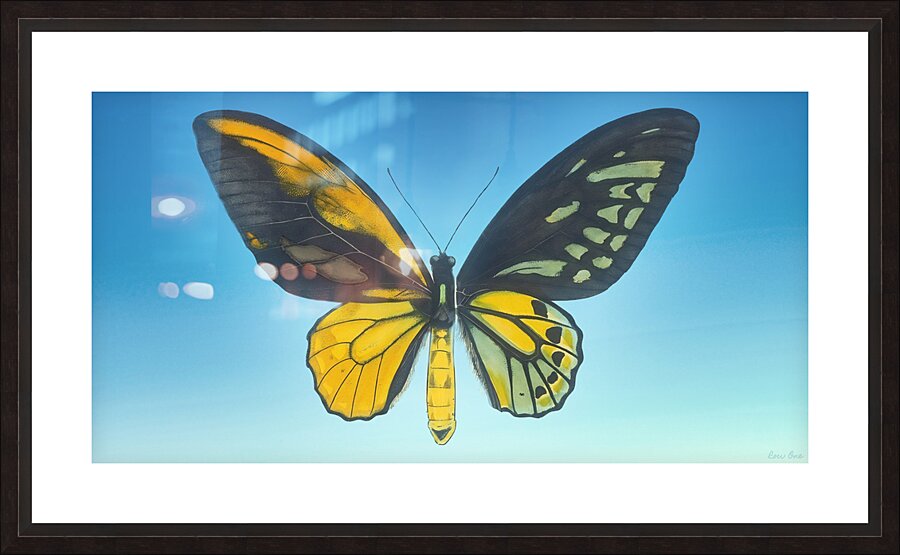 Learning to Fly Picture Frame print