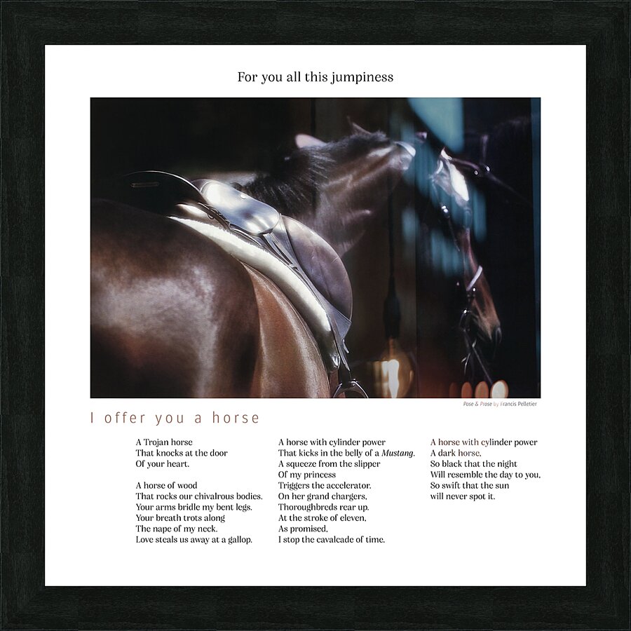 I OFFER YOU A HORSE Picture Frame print