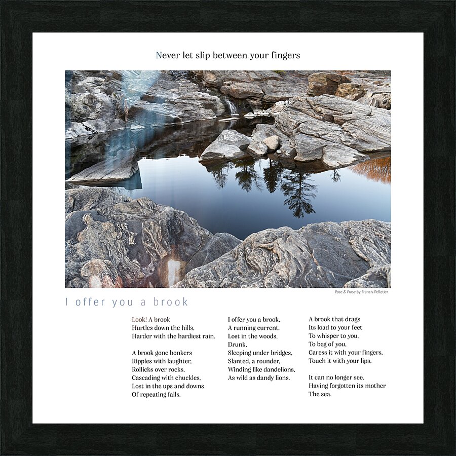 I OFFER YOU A BROOK Picture Frame print