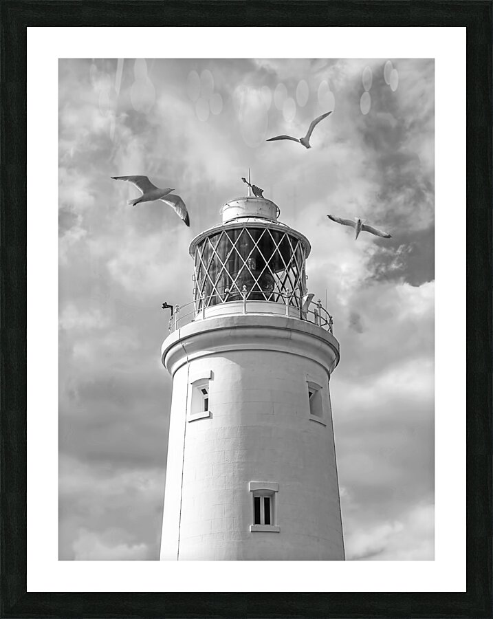 Fly Past - Seagulls Round Southwold Lighthouse Black and White Picture Frame print