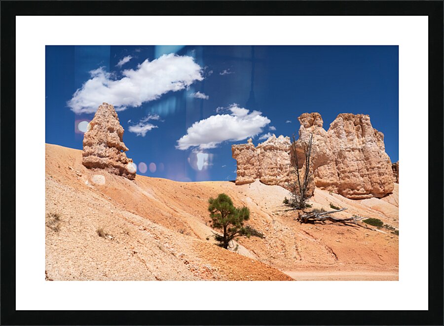  Fine Art print