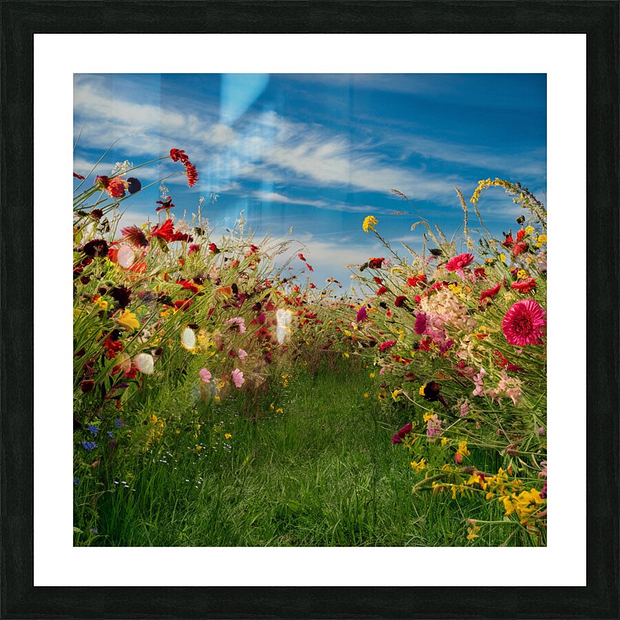 Wildflower Meadow Picture Frame print
