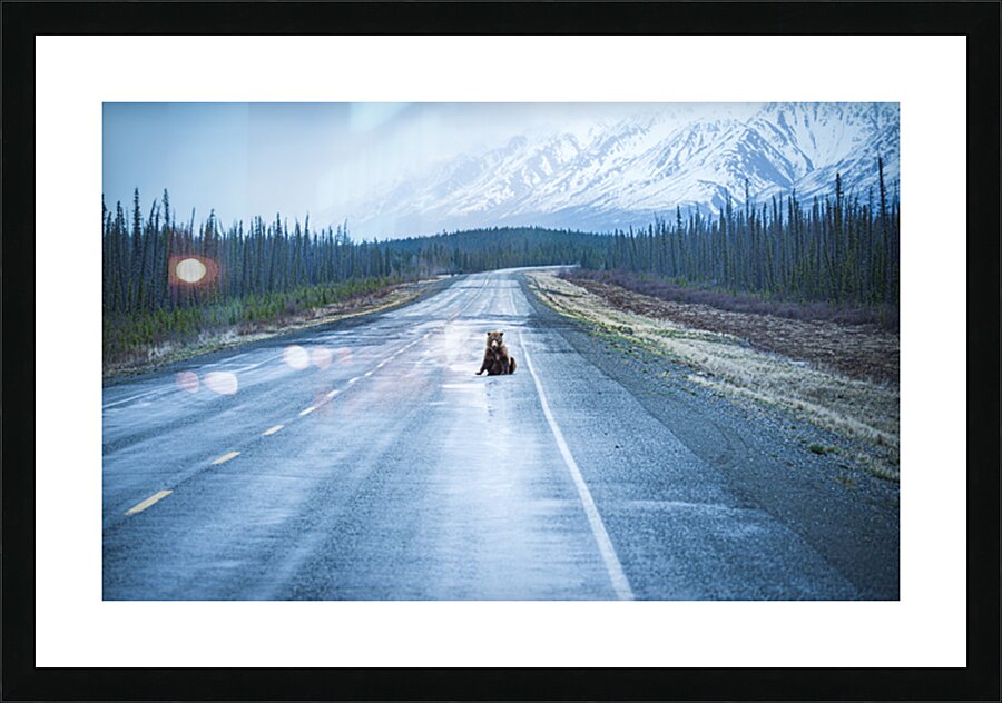  Fine Art print