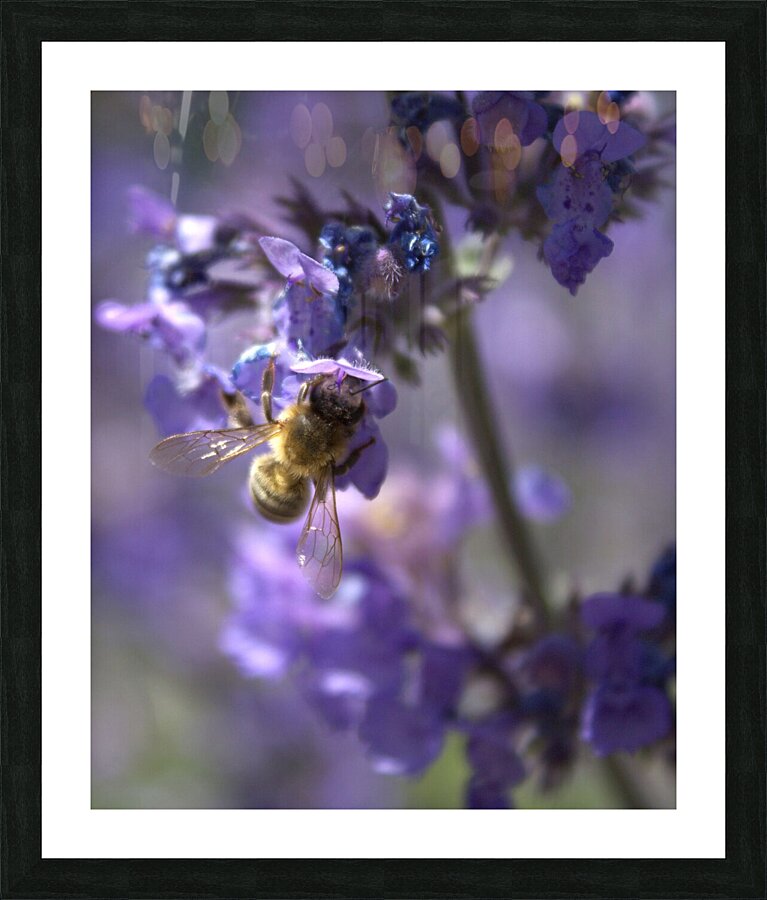 Morning Breakfast Picture Frame print