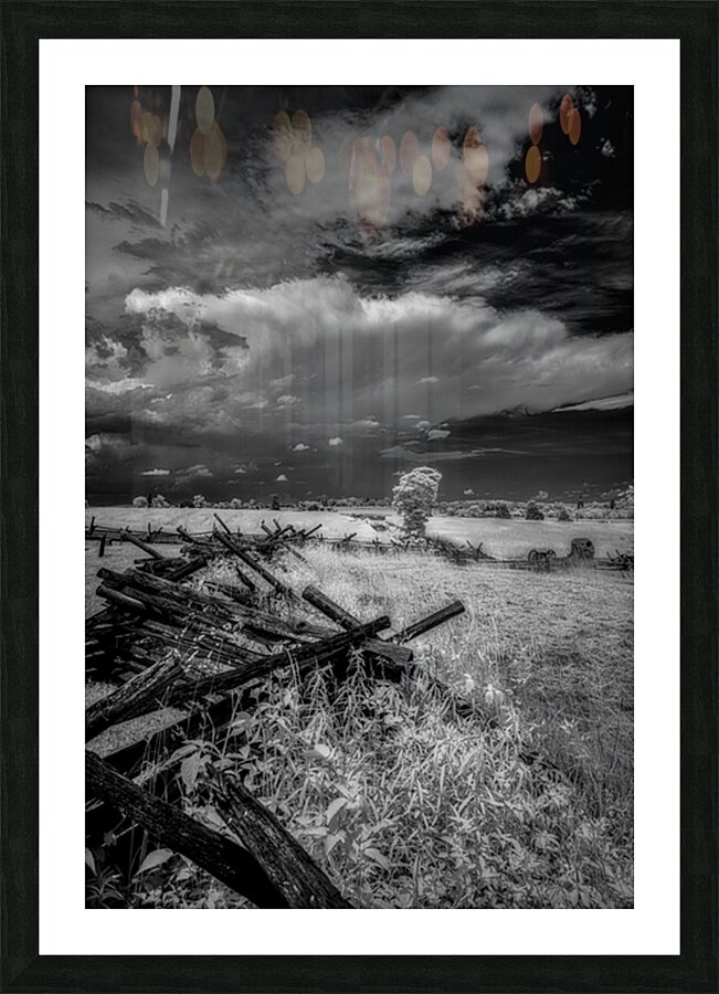 The Balance of Natures Chaos Picture Frame print