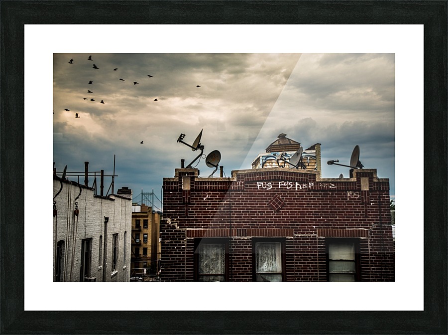  Fine Art print