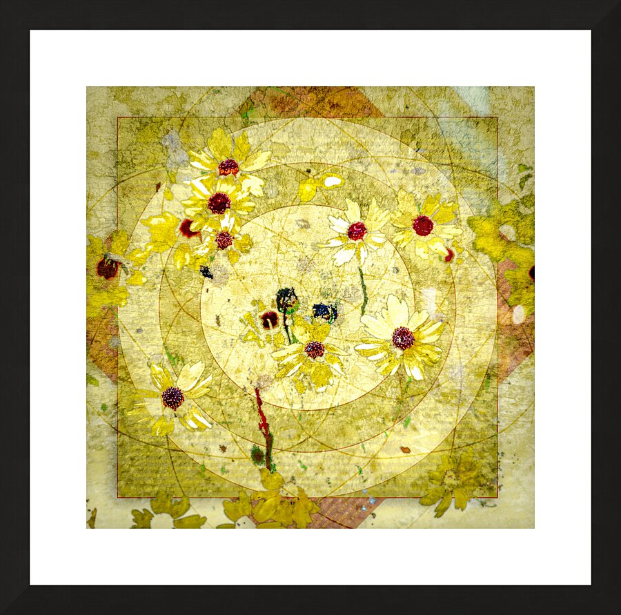 Coreopsis Picture Frame print