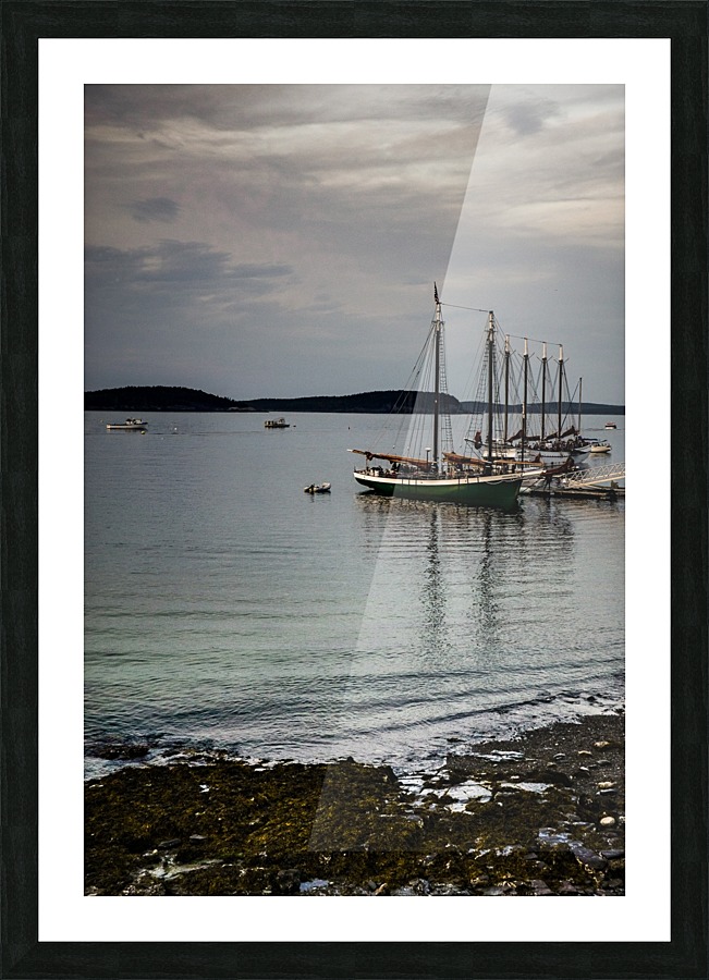  Fine Art print