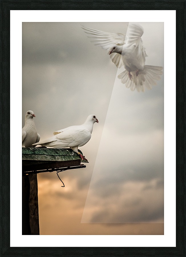  Fine Art print