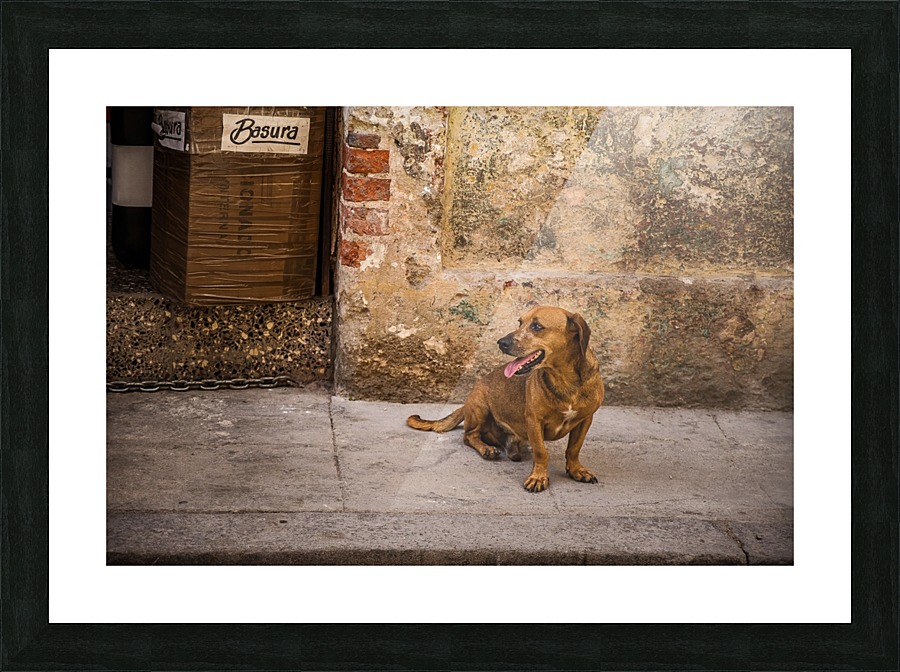  Fine Art print