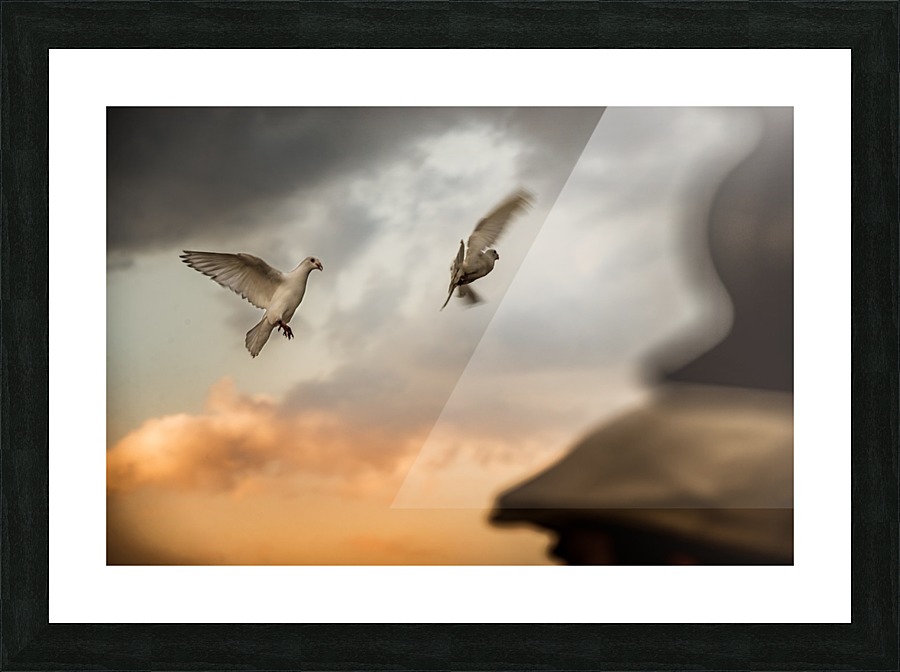  Fine Art print