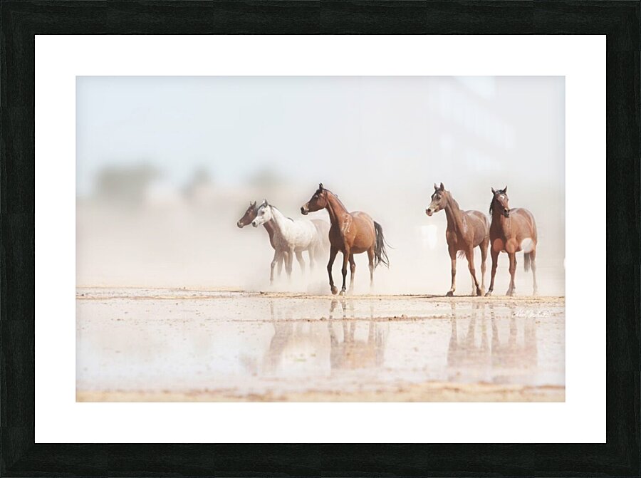 Desert Horses Picture Frame print