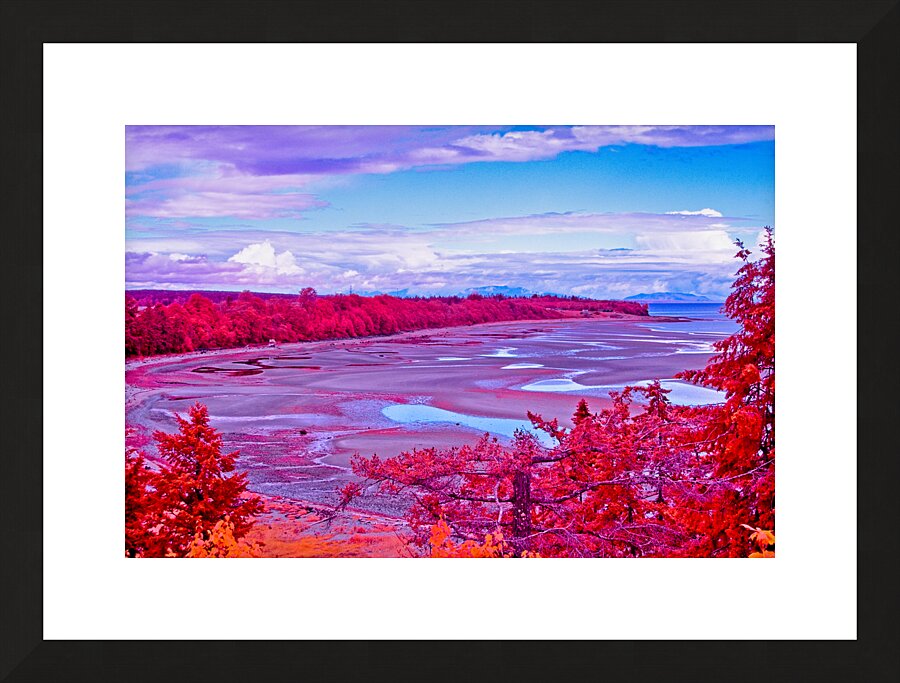 Kye Bay In Infrared Picture Frame print