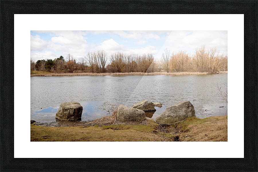  Fine Art print