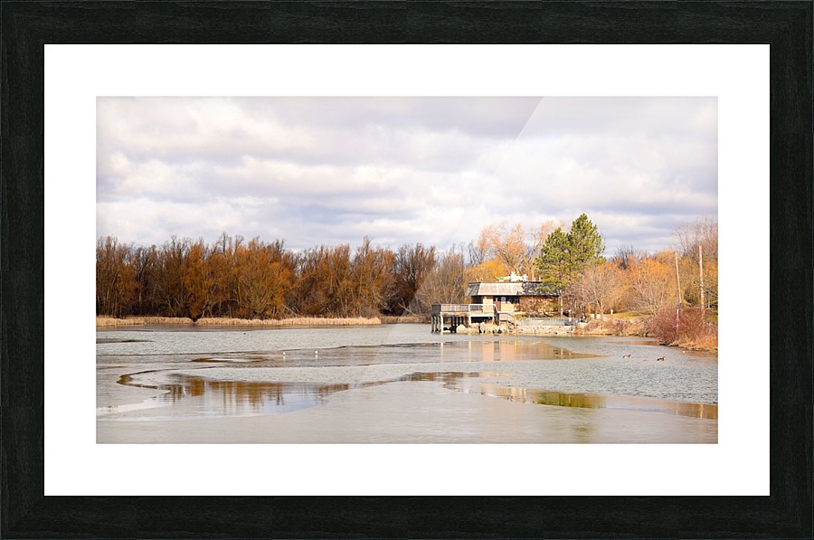  Fine Art print