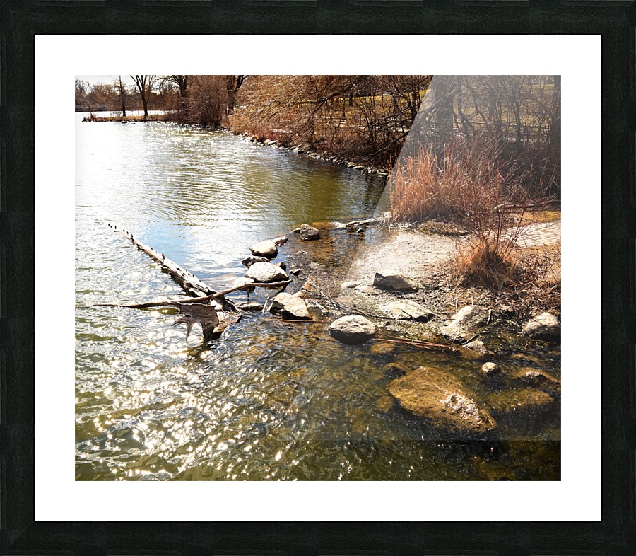  Fine Art print
