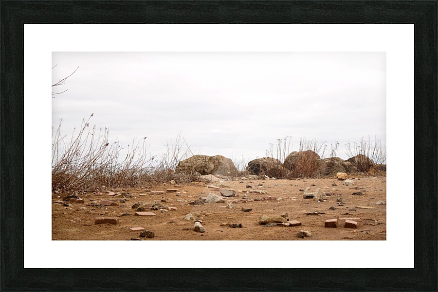  Fine Art print